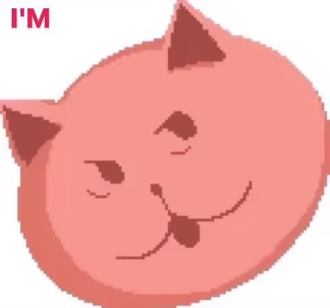 @Raine