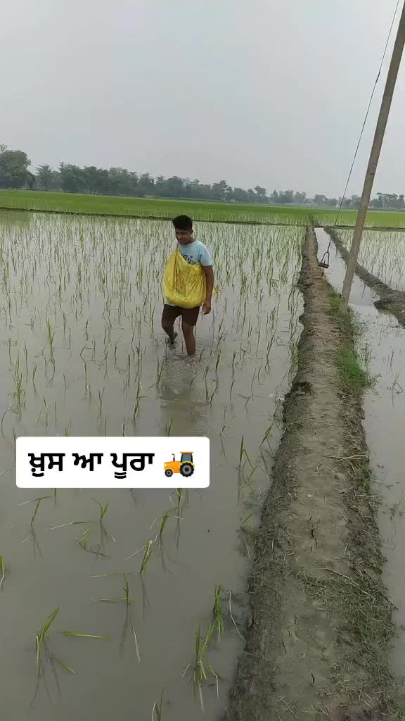 @madahar002