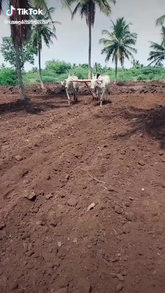 @Kiran kiru