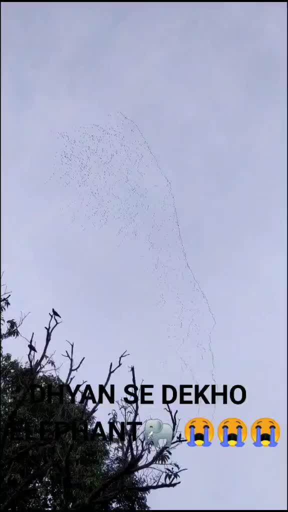 @salman qureshi