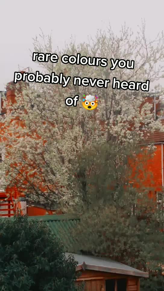 @._.