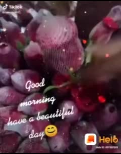@dhikshit