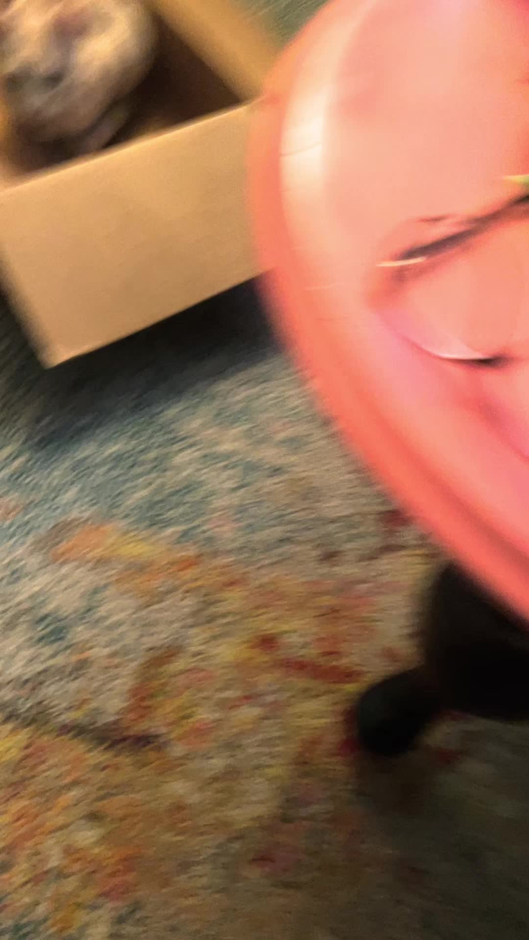 @ari