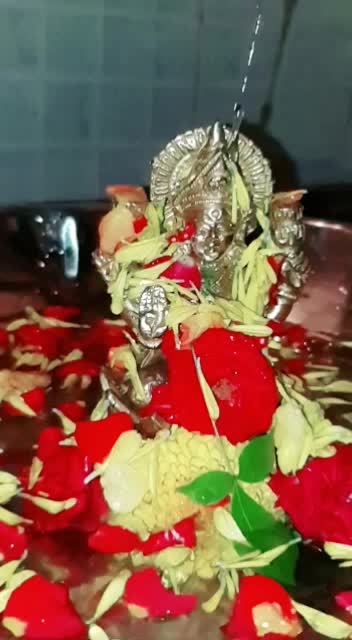 @sandhya_gajjala