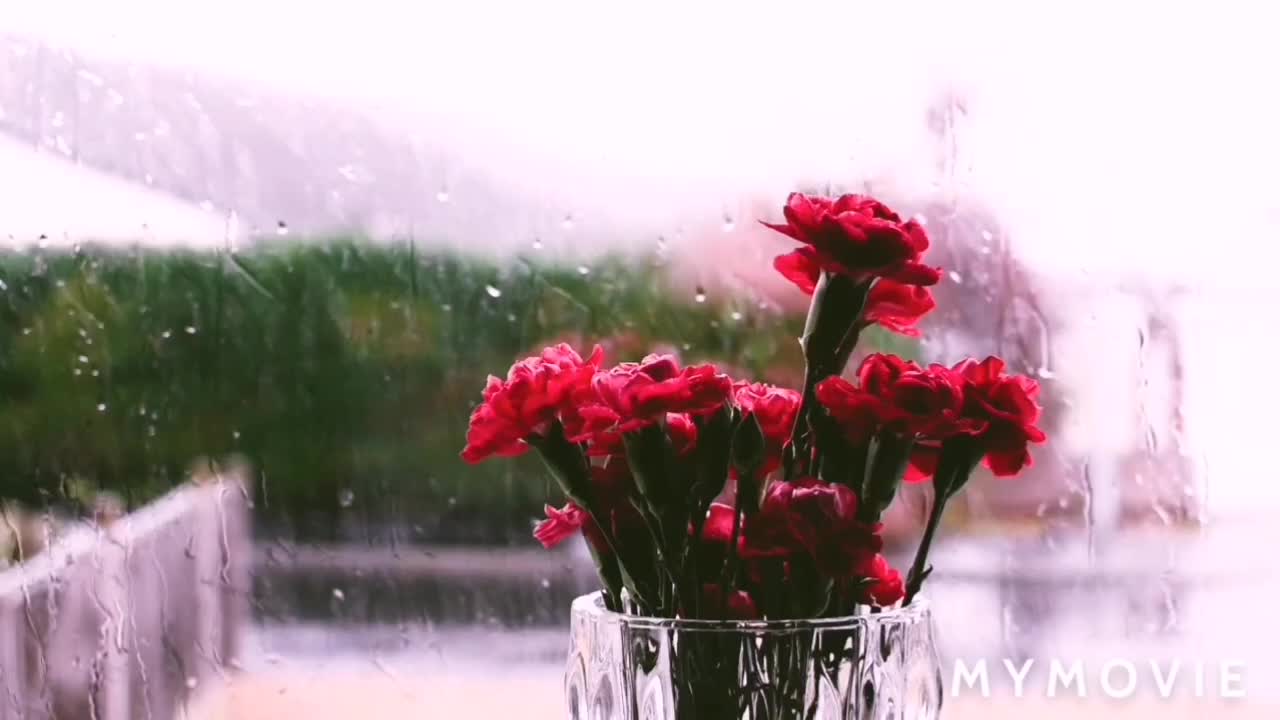 @ASMR Maria147