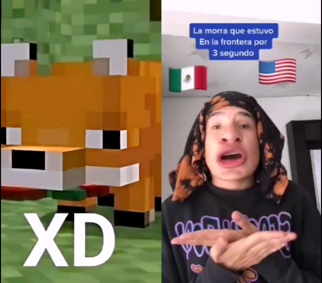 @Zorrito xd 🦊