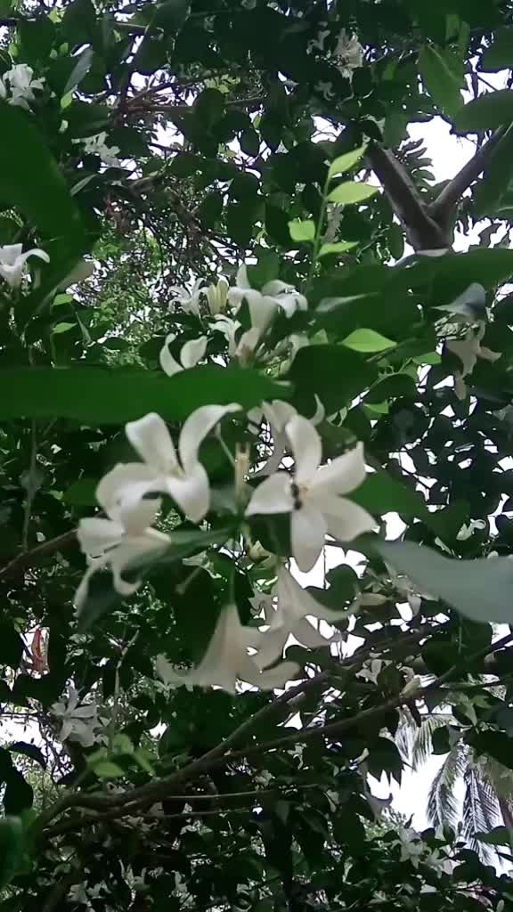 @Jisny annaEsthapan