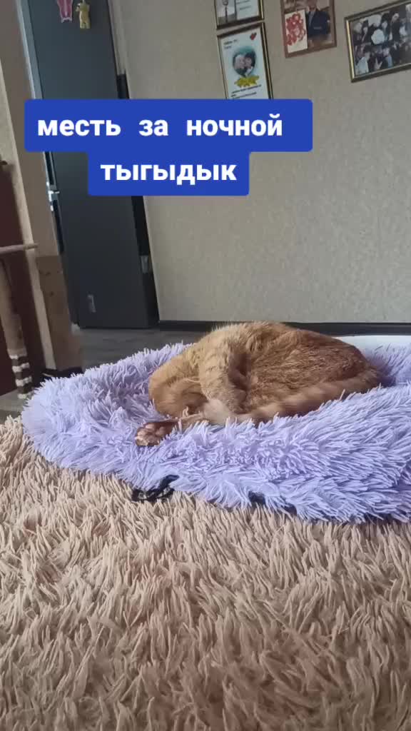 @Мария Москвина