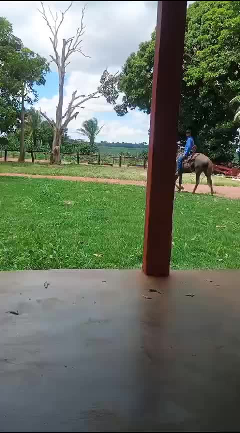 @Jadyson Silva sousa