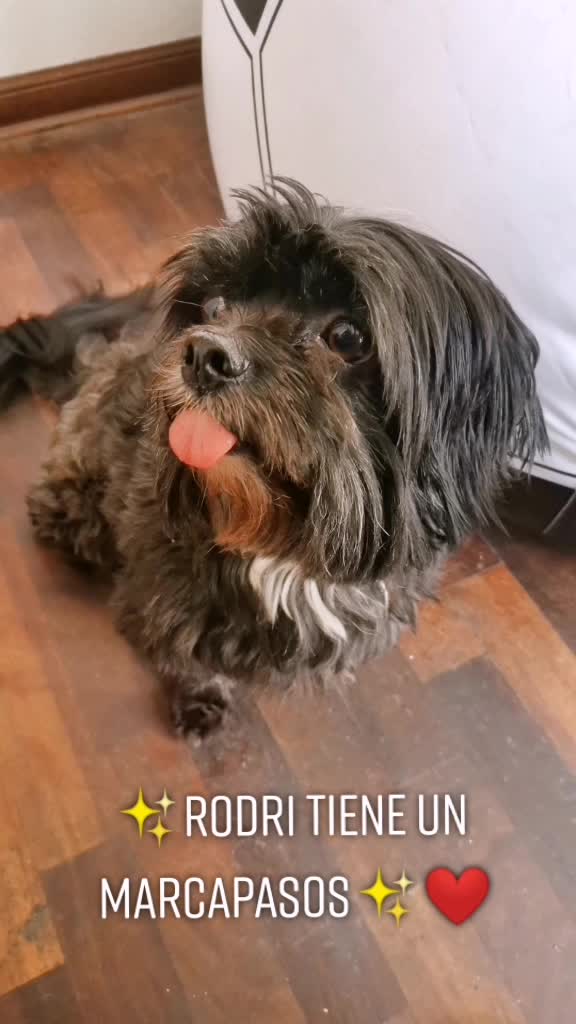 @Rodrigo Marcelo