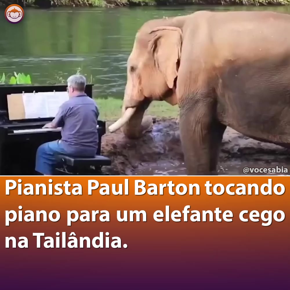 @Você Sabia?