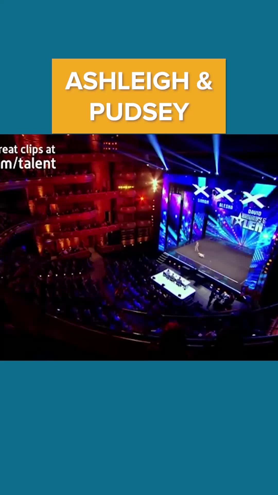 @MOST TALENTED ANIMALS