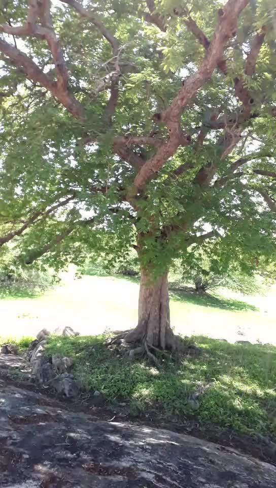 @user1227776555977