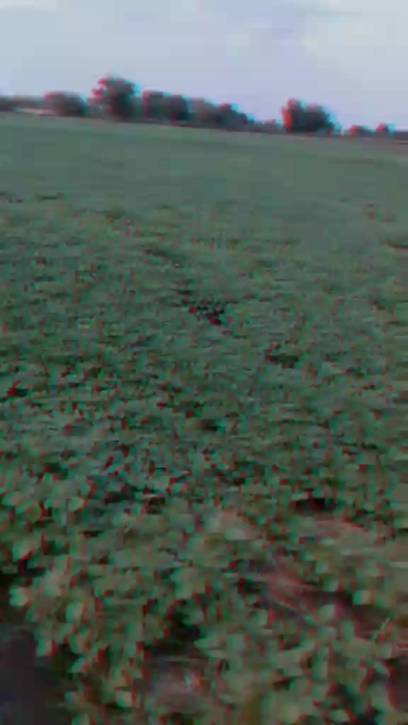 @₳$ĦɄ₮Ø$Ħ_₱₳₦₩₳Ɍ ಠ_ಠ