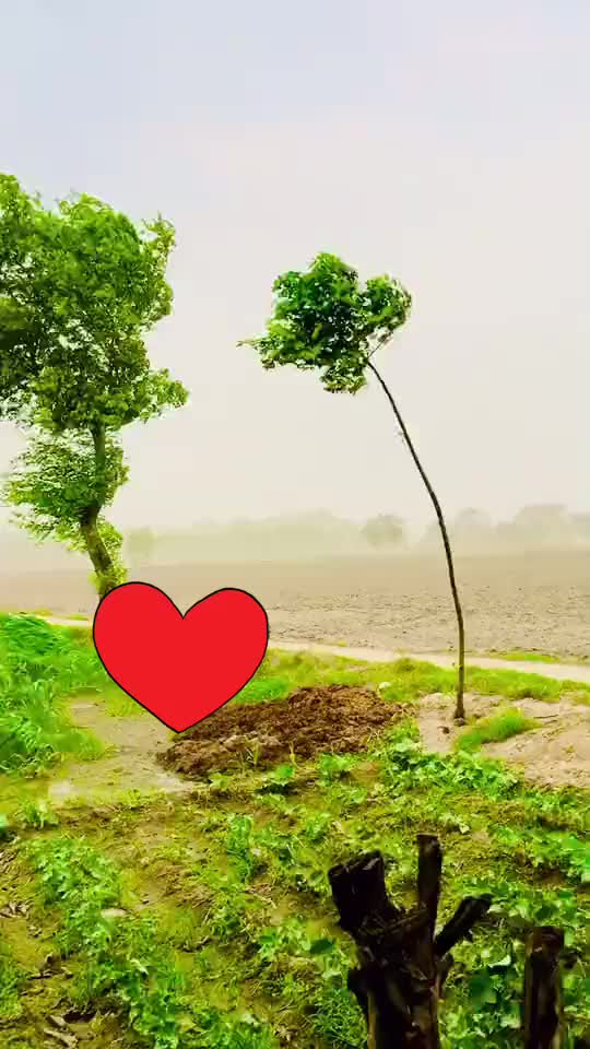 @जाटकीजाटनी💑❤
