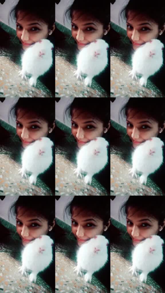 @❤❤shivi❤❤