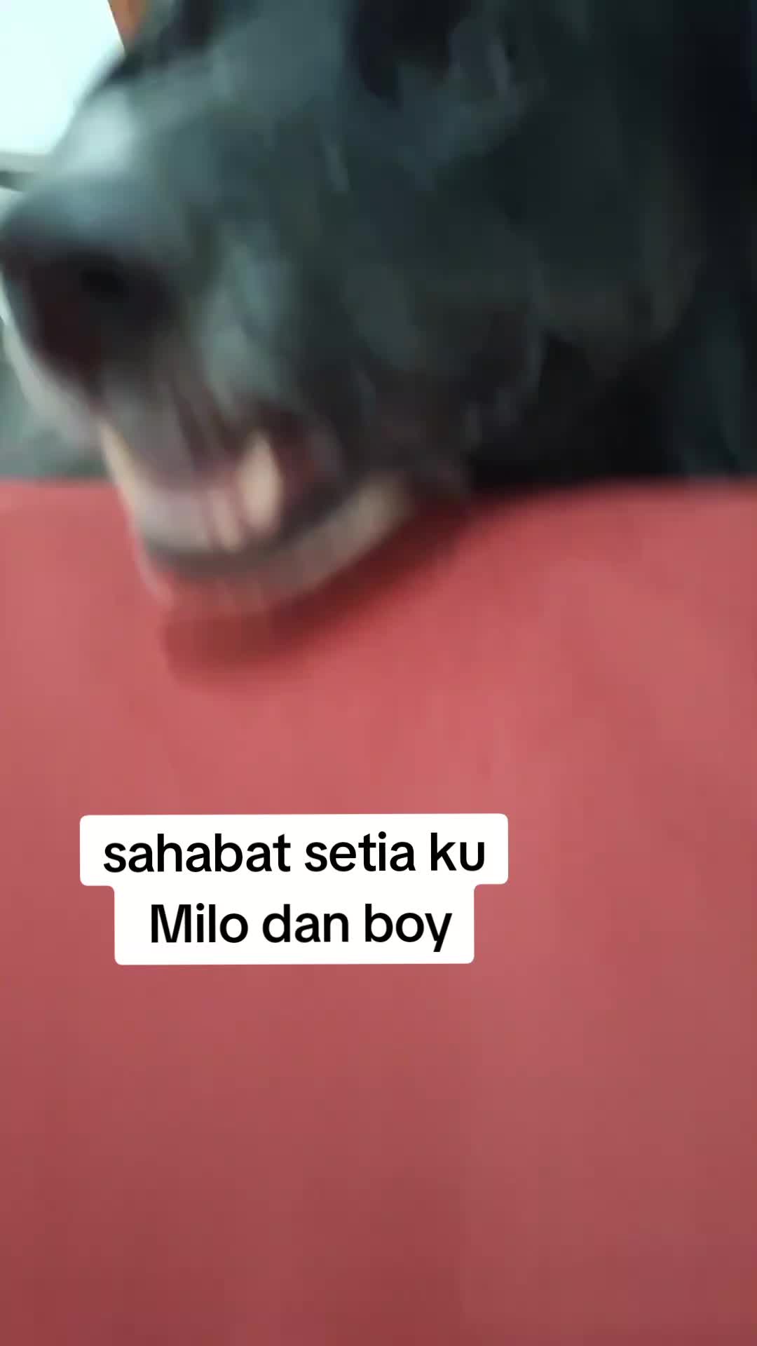 @@cancer88