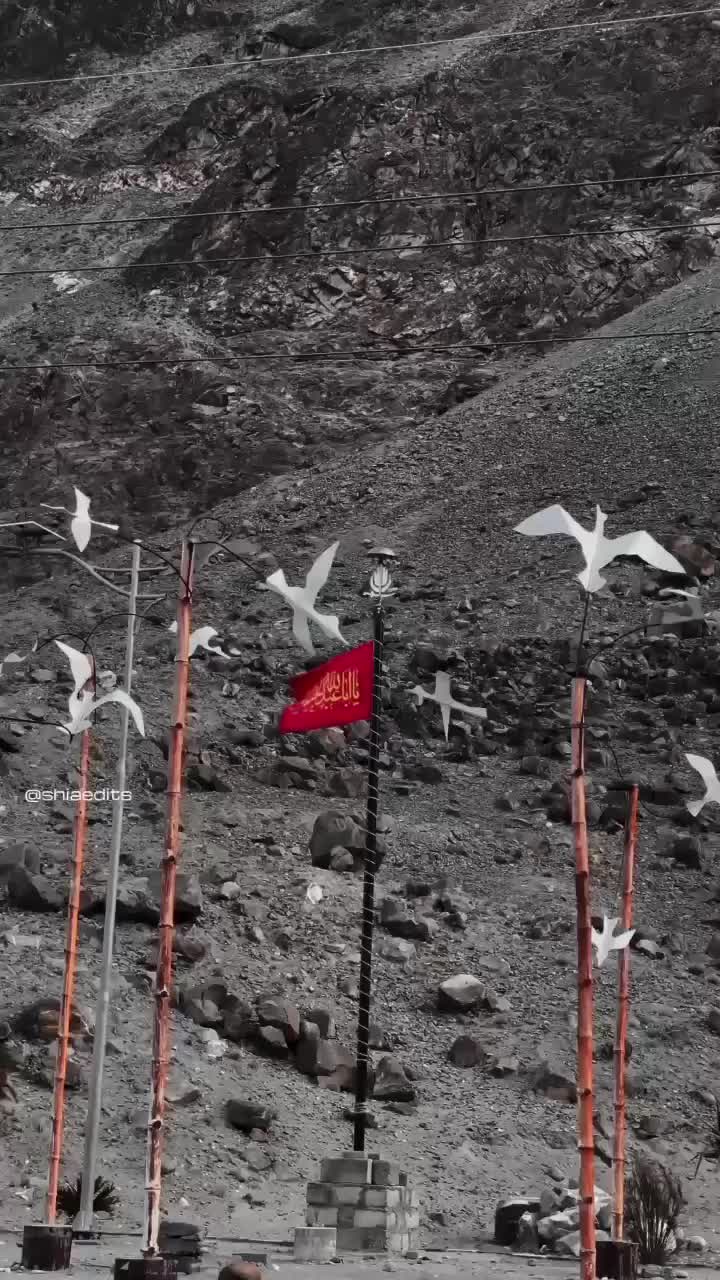 @yamehdi72