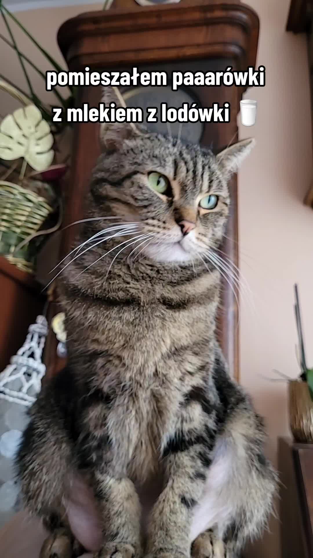 @😻Ekipa Świrka 😻
