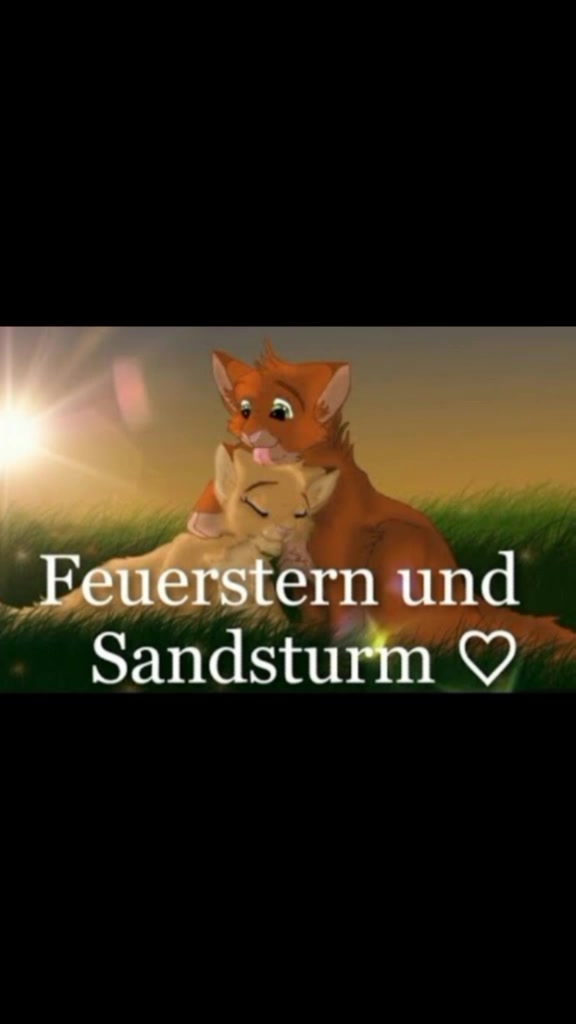 @Warrior Cats