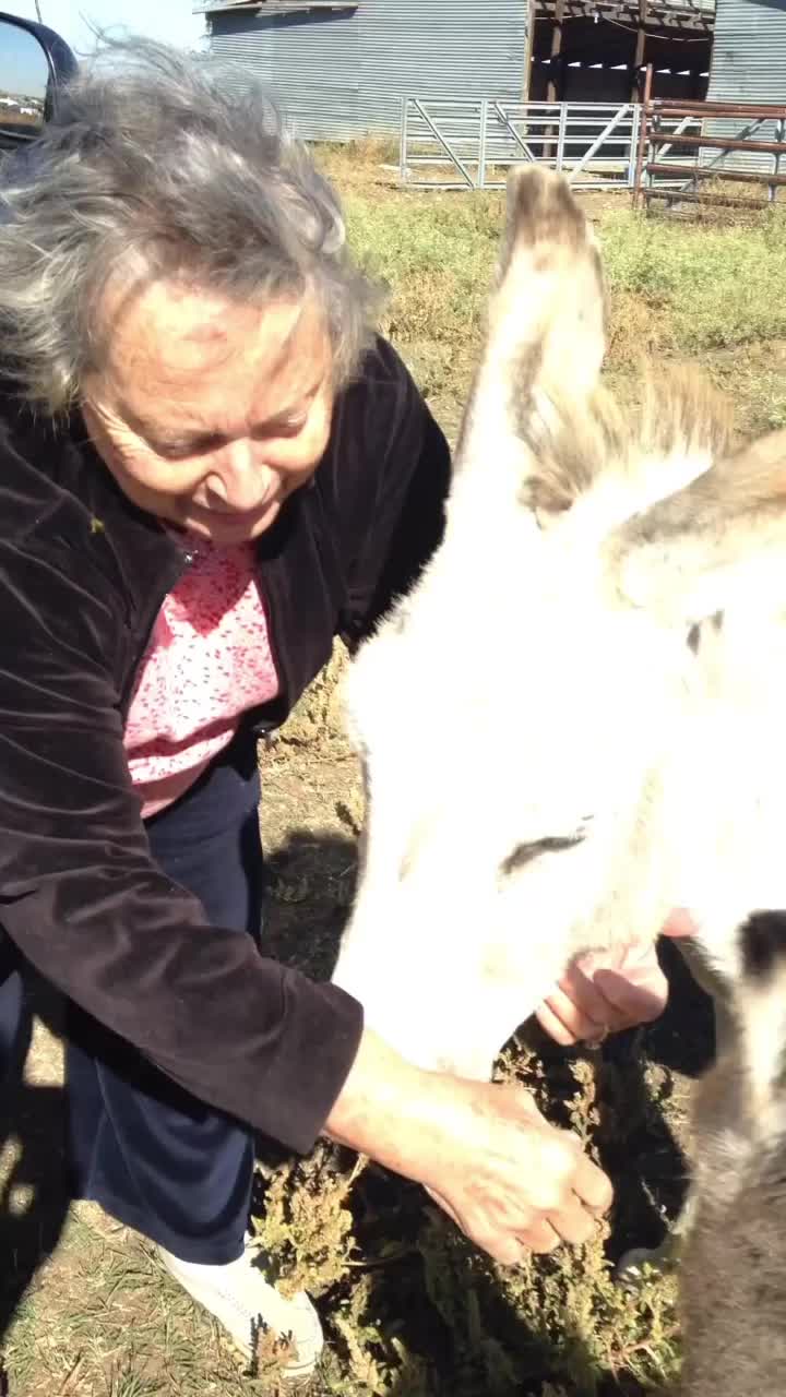 @Horses<>Helping<>Humans