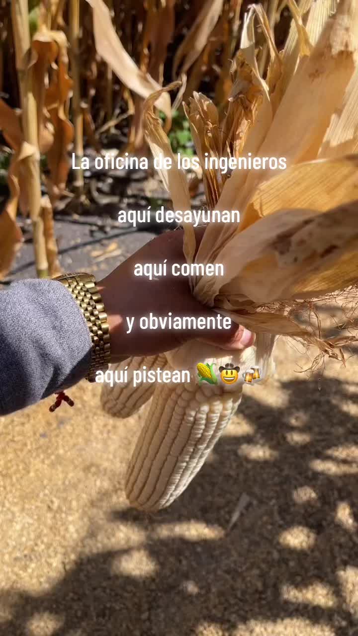 @Pablo Do&ntilde;ate 🤠