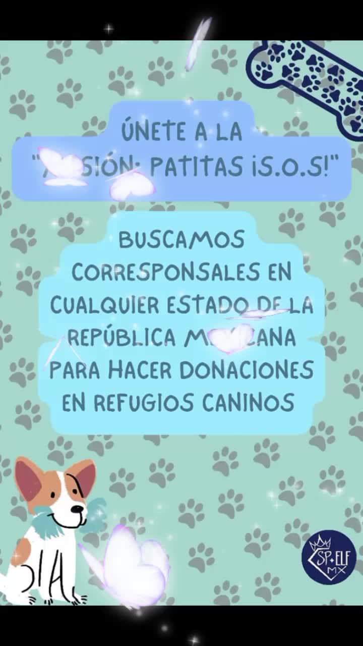 @Super Proyectos ELF Mx