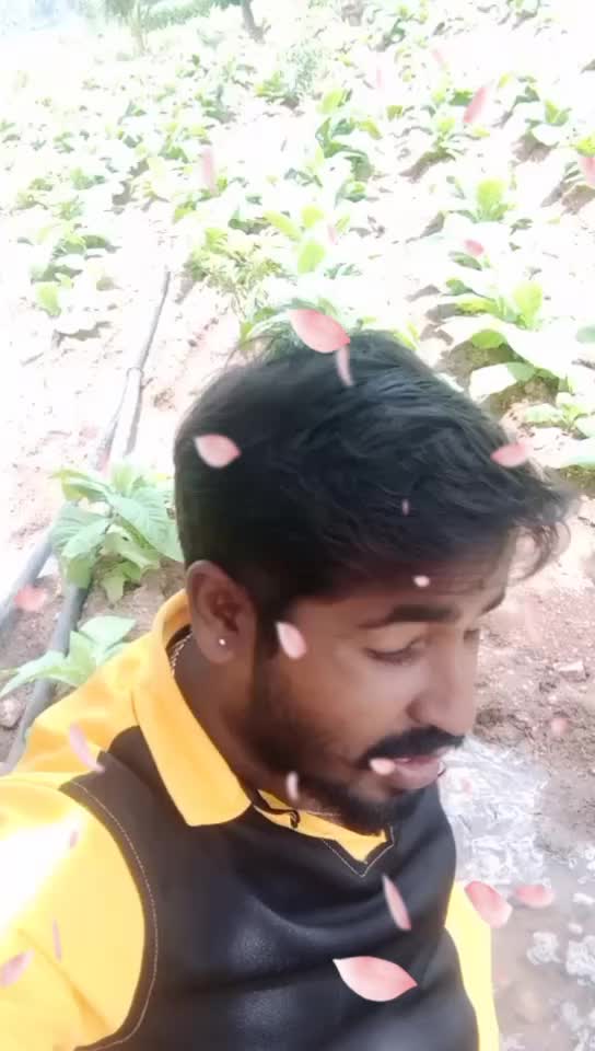 @praveena m