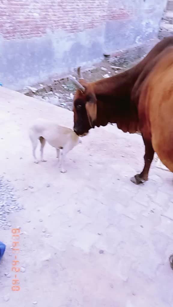 @pradippariyar26