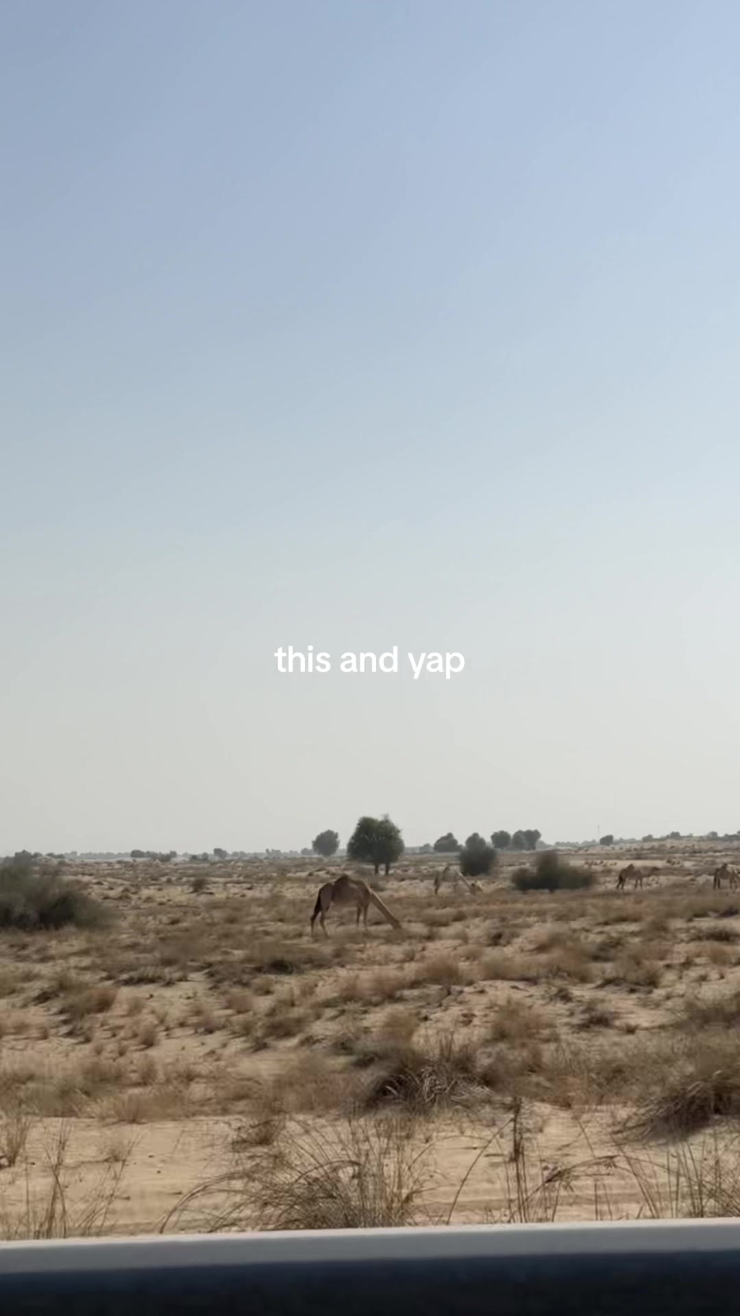 @مارن
