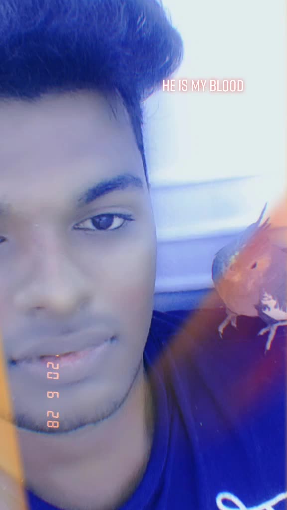 @@&reg;@&radic;|ND