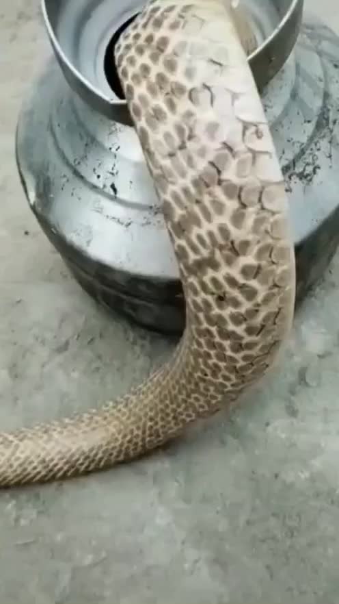 @Beautykhan