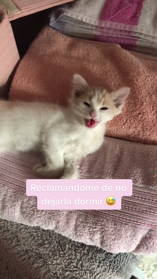 @Mariana Trinidad