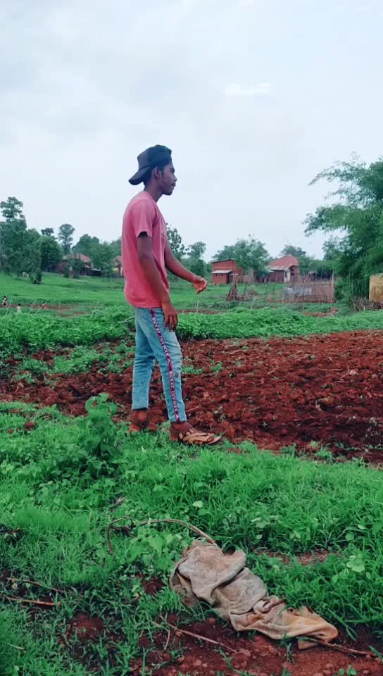 @vivekthorad
