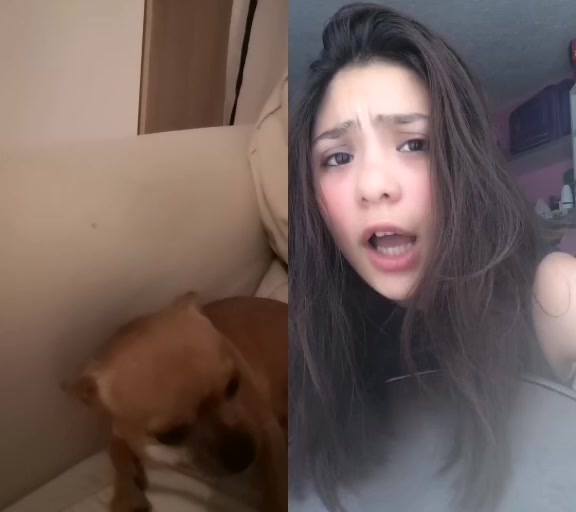 @derbopo