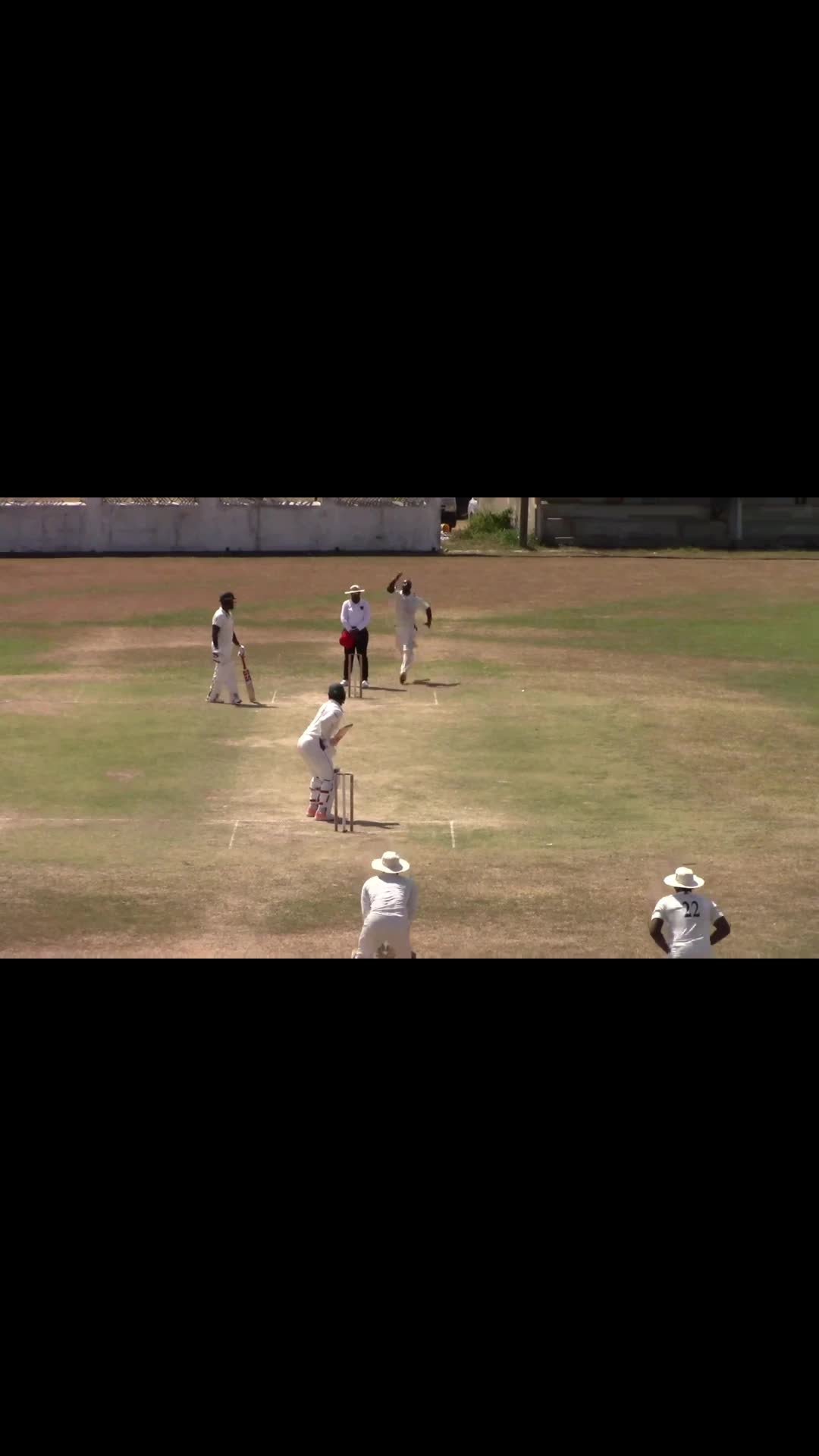 @Cricket With Leon