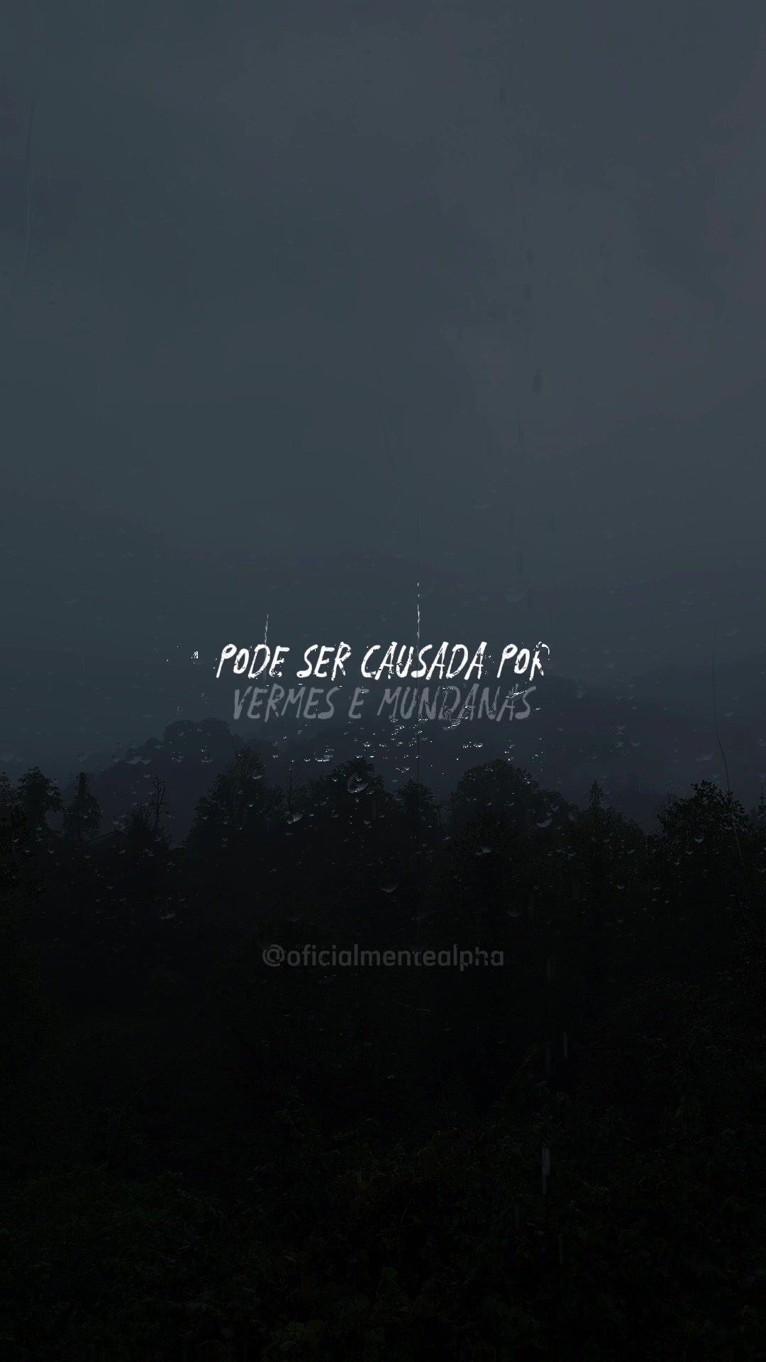 @OFICIALMENTE ALPHA