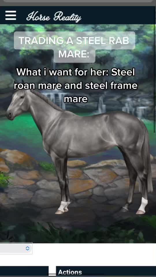 @Horse reality🤍