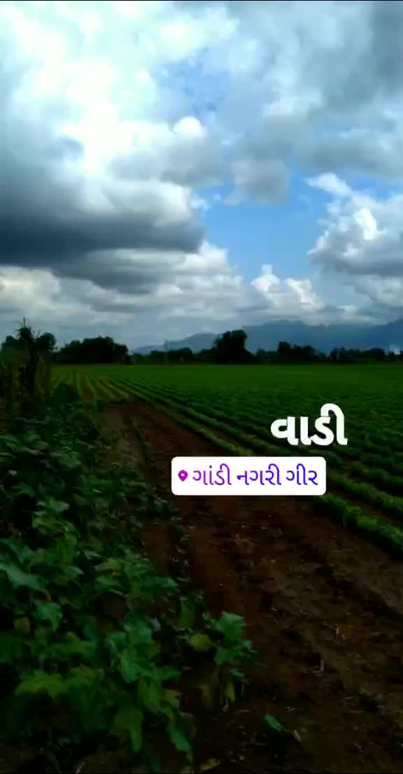 @avinashsinh_makwana