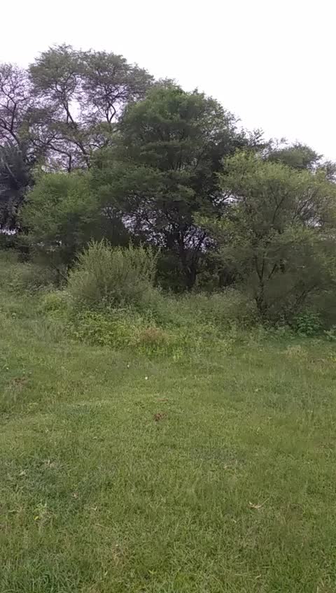 @Jibon Kumbhakar