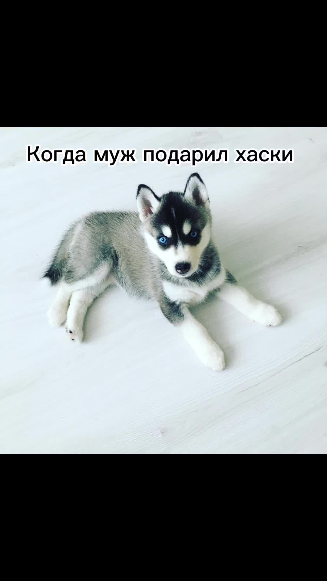 @Татьяна Масальская
