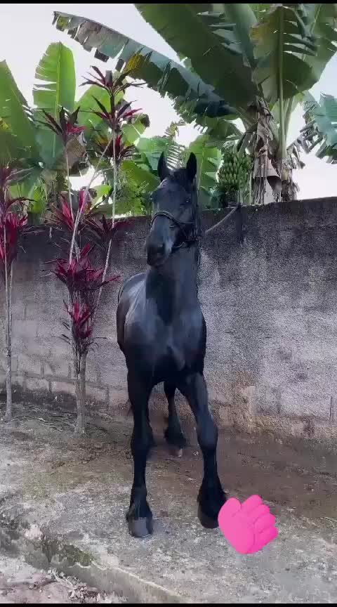 @๐