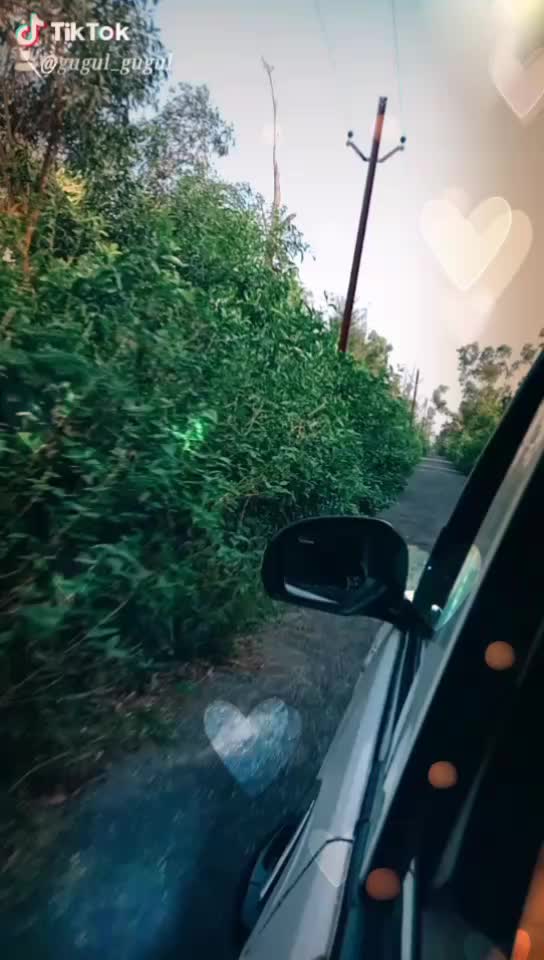 @S_im-Pl_e G$rLSHRUTi