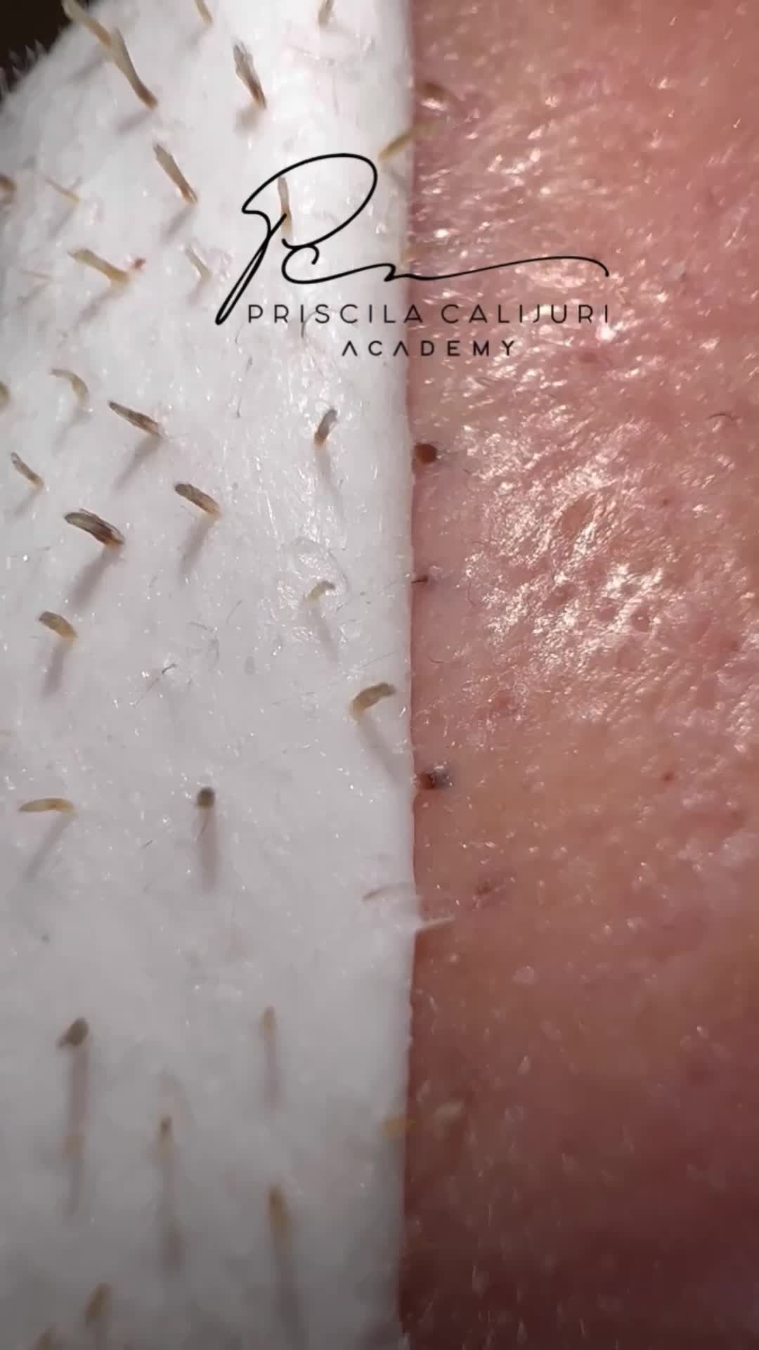 @Priscila Calijuri Academy