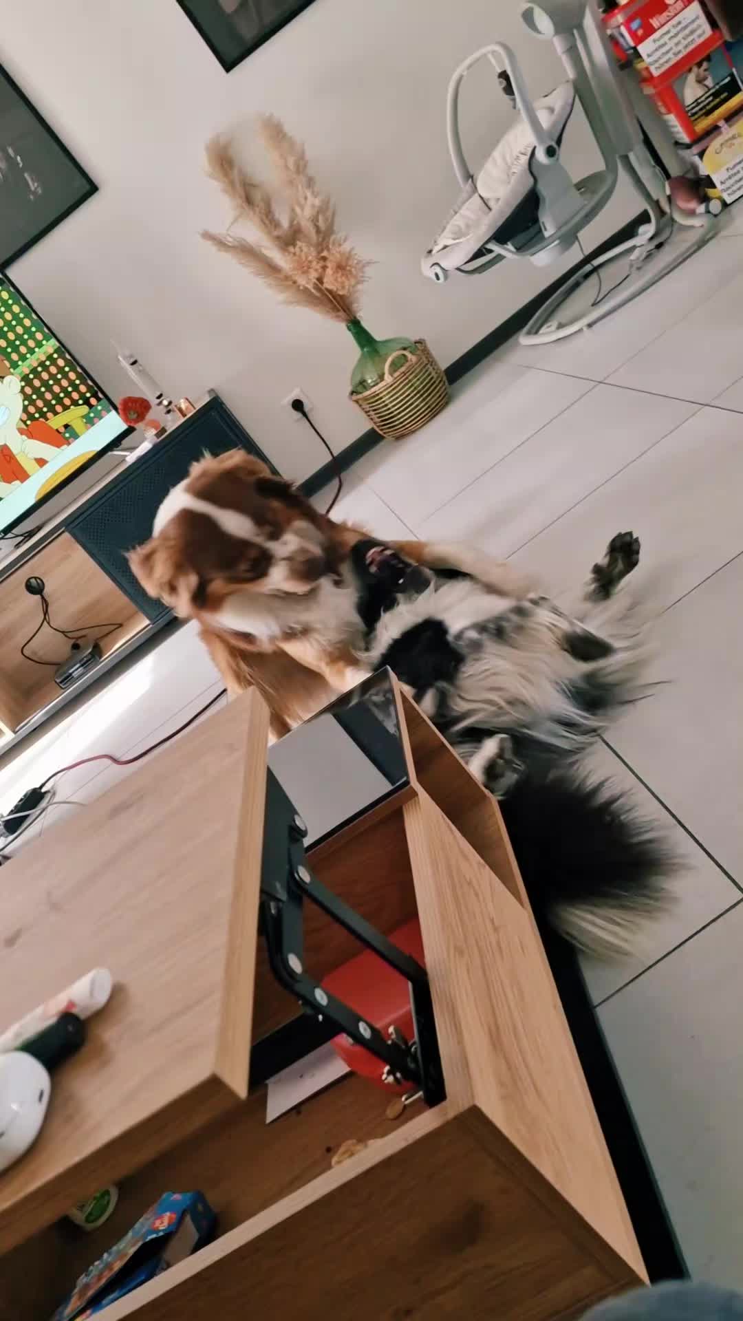 @Marley.0401