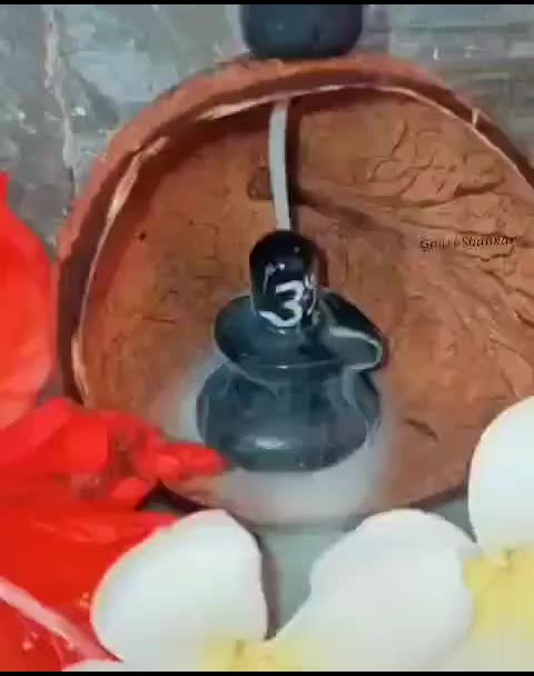 @Neha Mukesh Dhiman