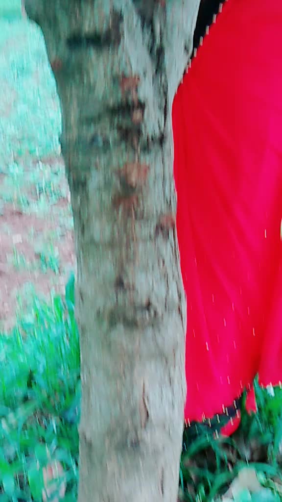 @user29067123966