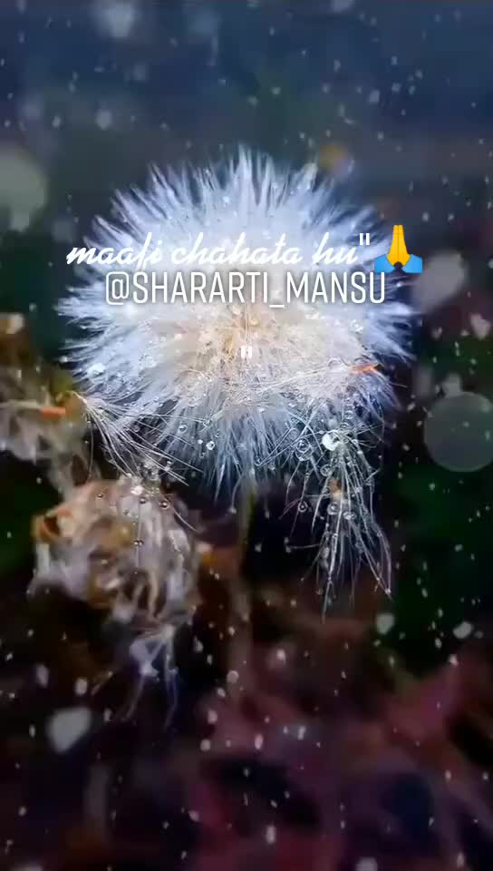 @&hearts;️ Mansura &hearts;️