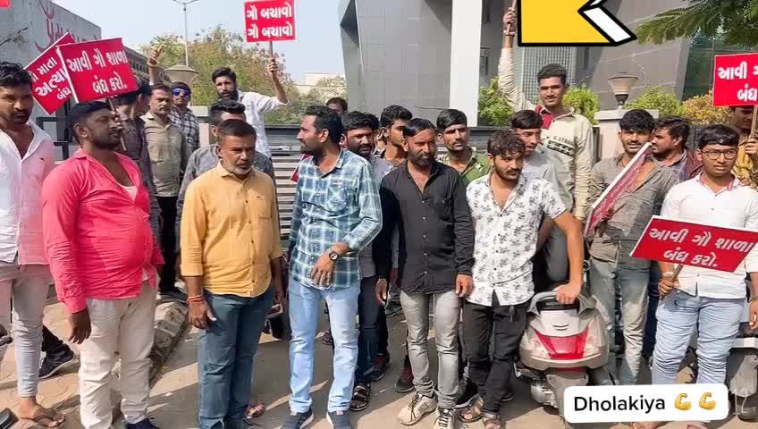 @Ajay Dholakiya