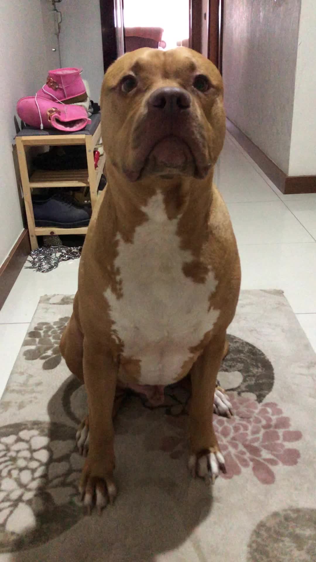 @Çağla çelik